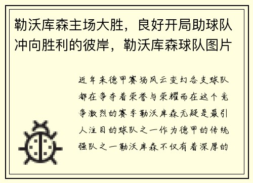勒沃库森主场大胜,良好开局助球队冲向胜利的彼岸,勒沃库森球队图片