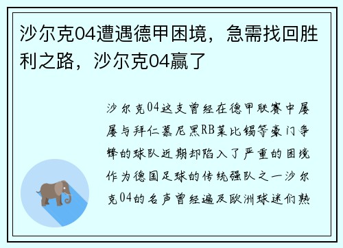沙尔克04遭遇德甲困境，急需找回胜利之路，沙尔克04赢了